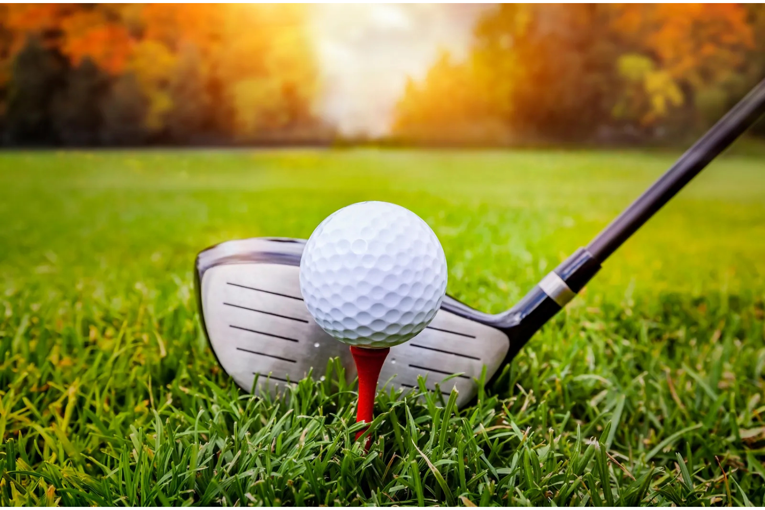 Head Boys Golf Coach